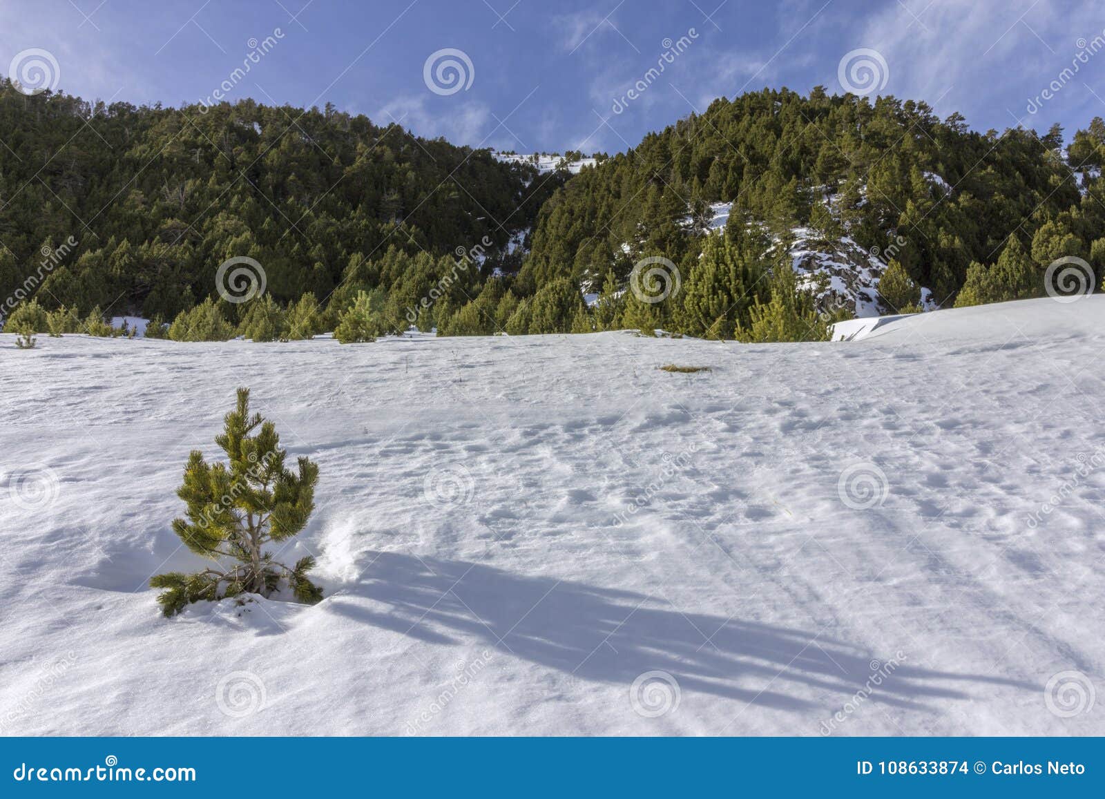 winter pyrenes landscape near roc del quer trekking trail, village of canillo.