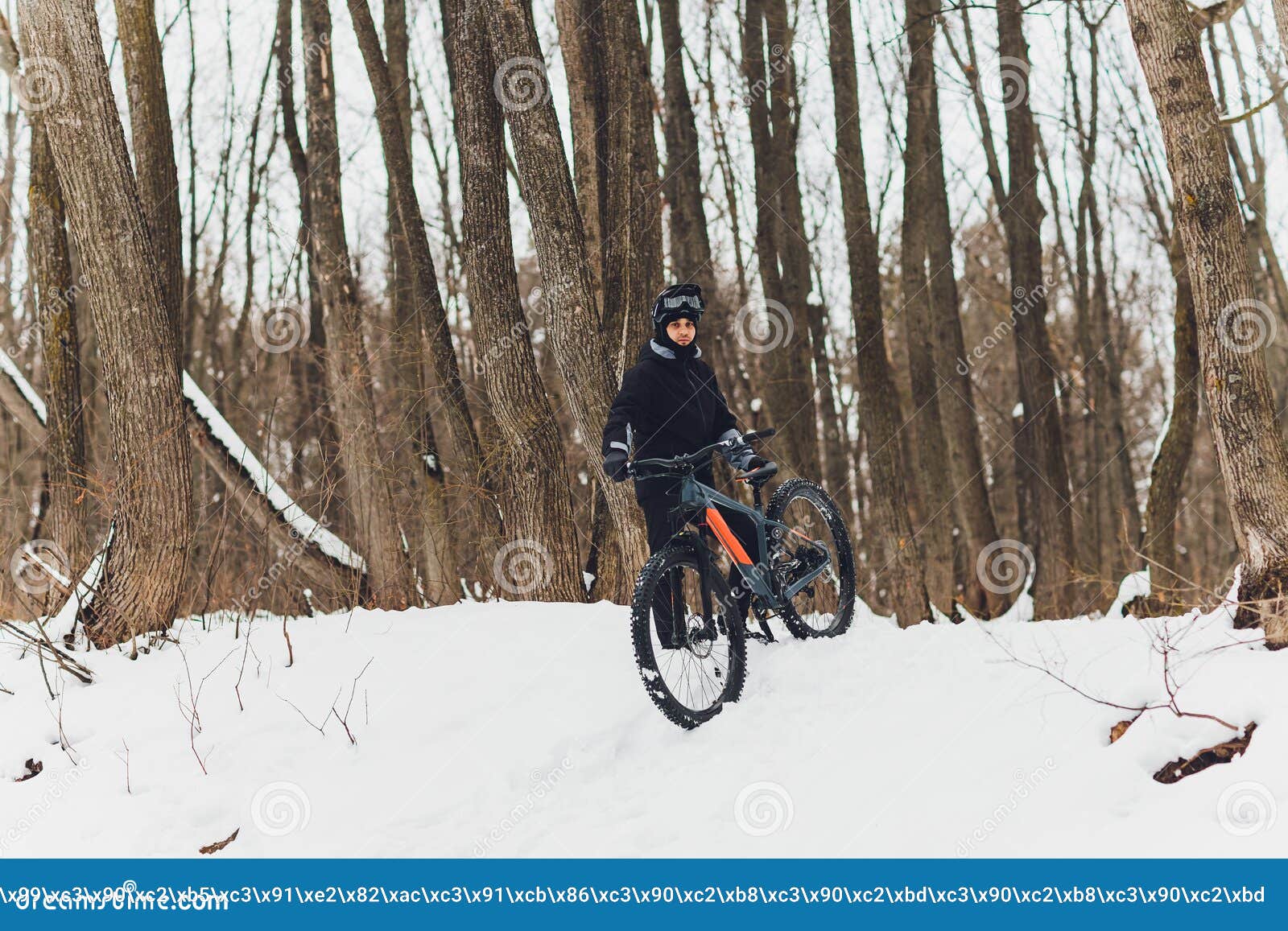 Winter Riding a Mountain Bike in the Forest. Stock Photo Image of outdoor, action 179062630