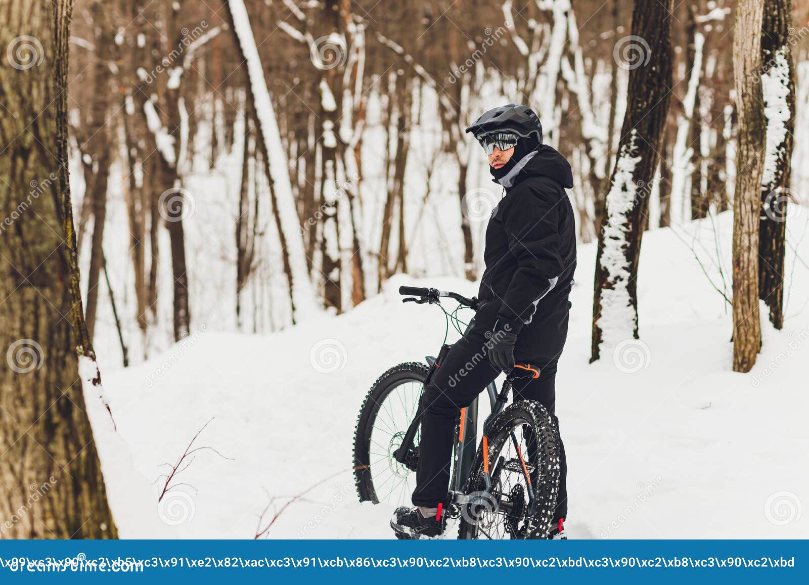 Winter Riding a Mountain Bike in the Forest. Stock Photo Image of