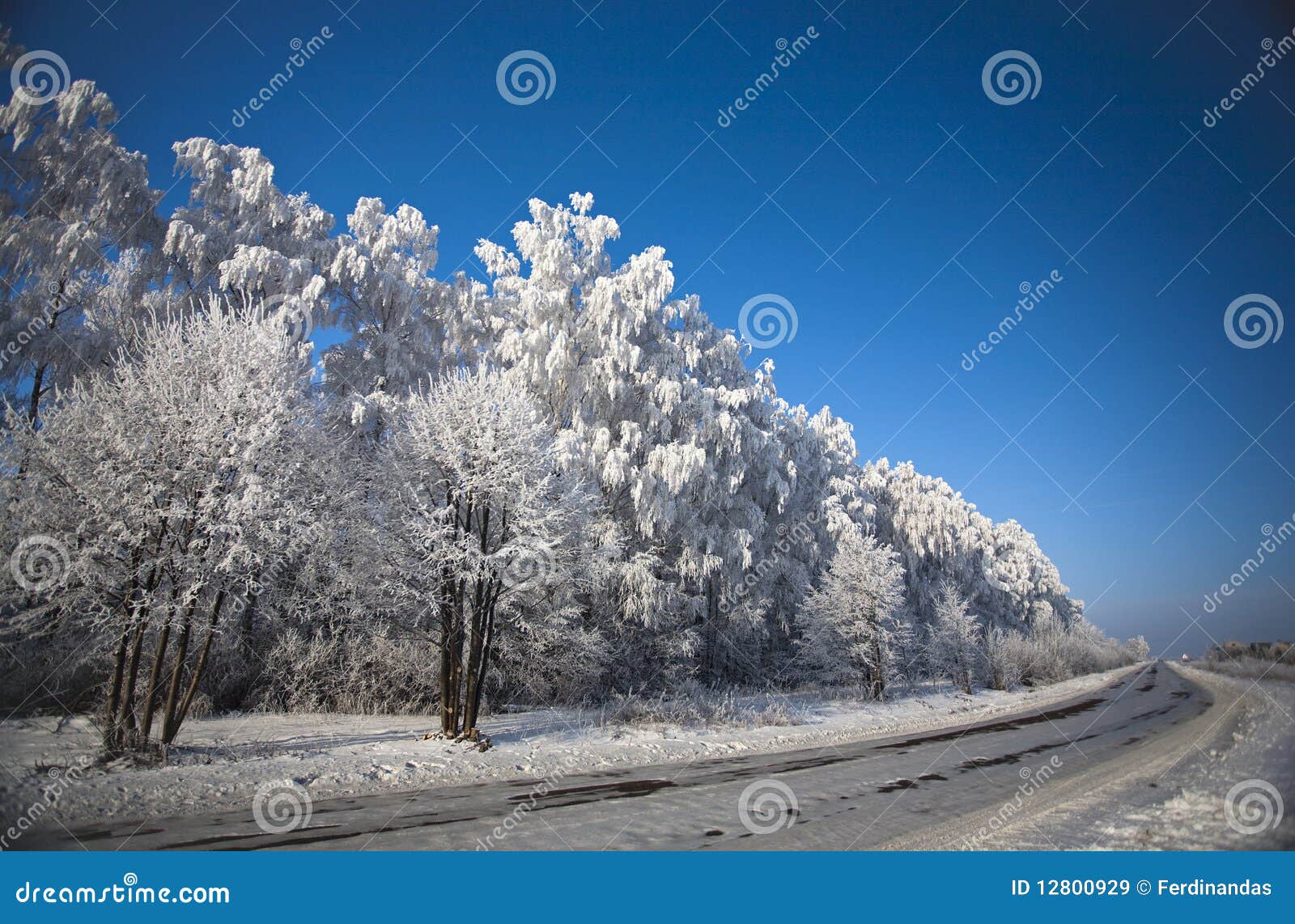 winter road with frosted trees and rime