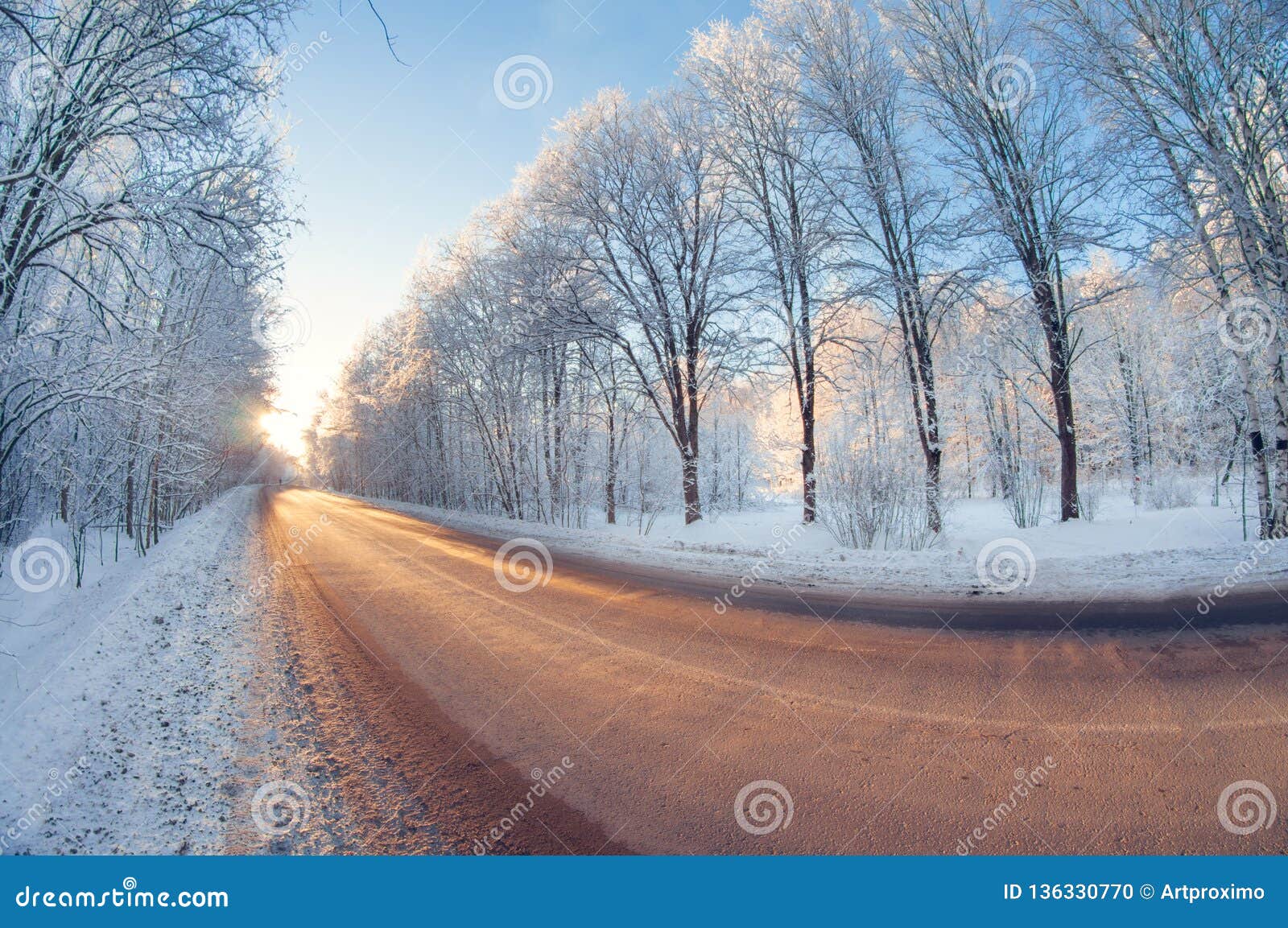 Download Winter Road In Park On Sunny Frosty Day. Distortion Perspective Fisheye Lens View Stock Photo ...