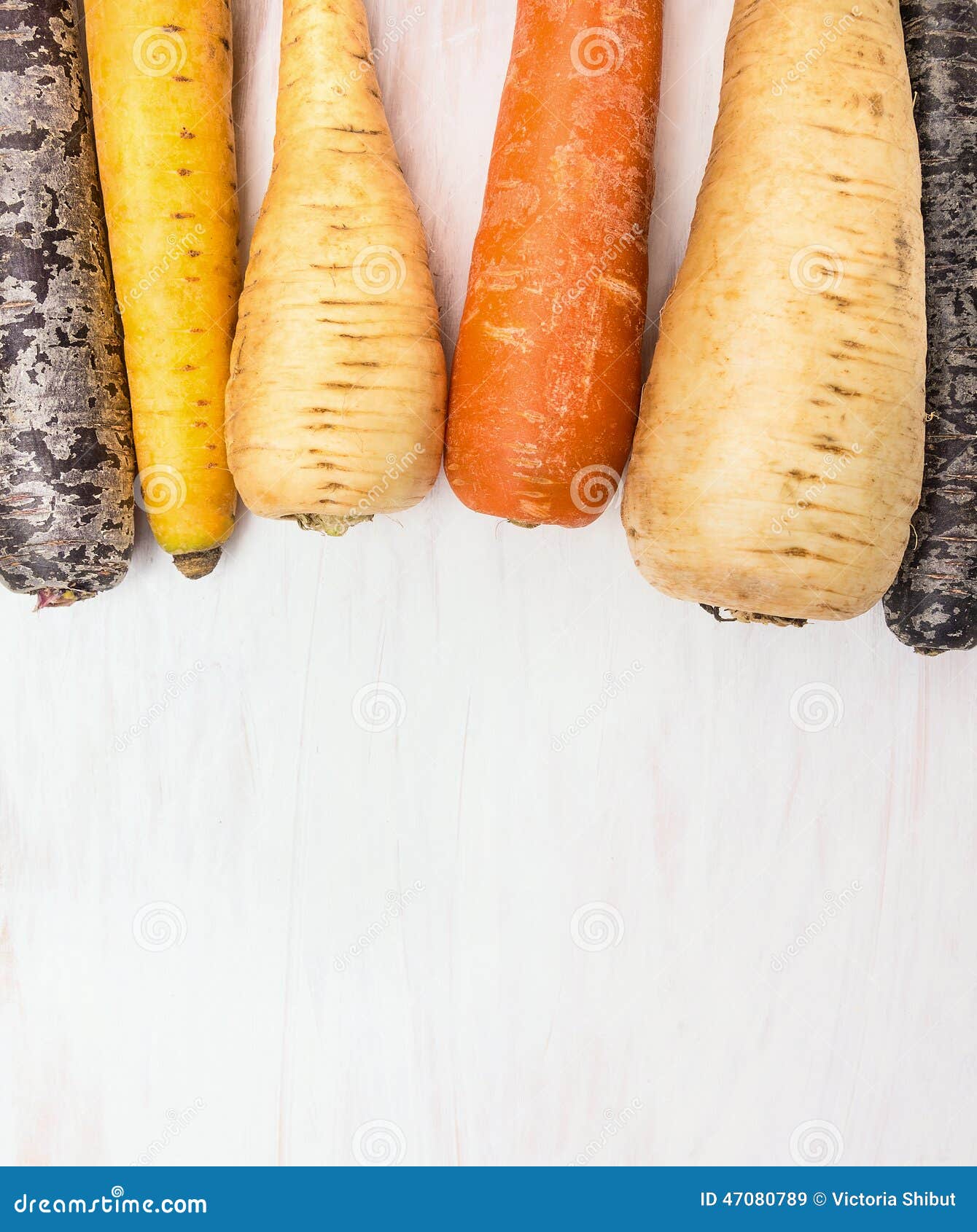 Winter Root Vegetables on White Wooden Background Stock Image Image