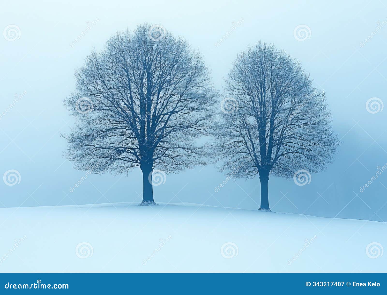 winter's calm: a minimalist snowy scene