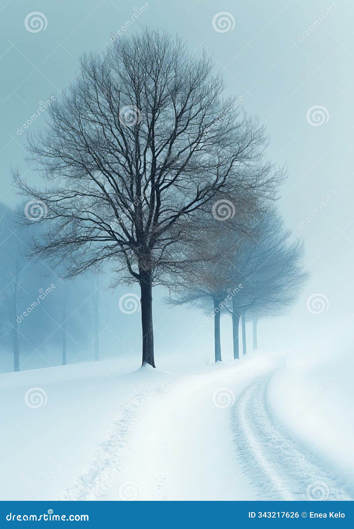 winter's calm: a minimalist snowy scene