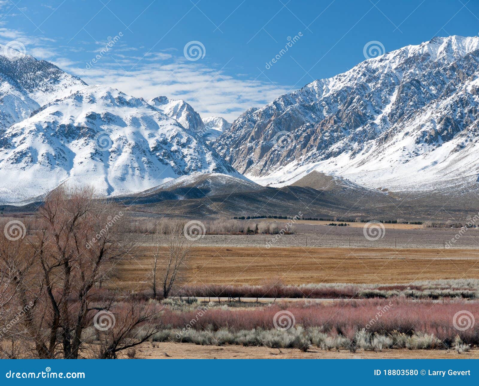 winter scene in the eastern sierra nevada range