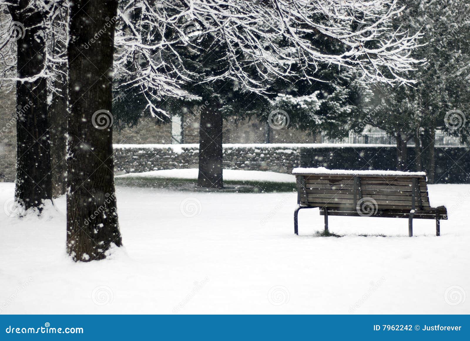 winter scene - snowfall in the park
