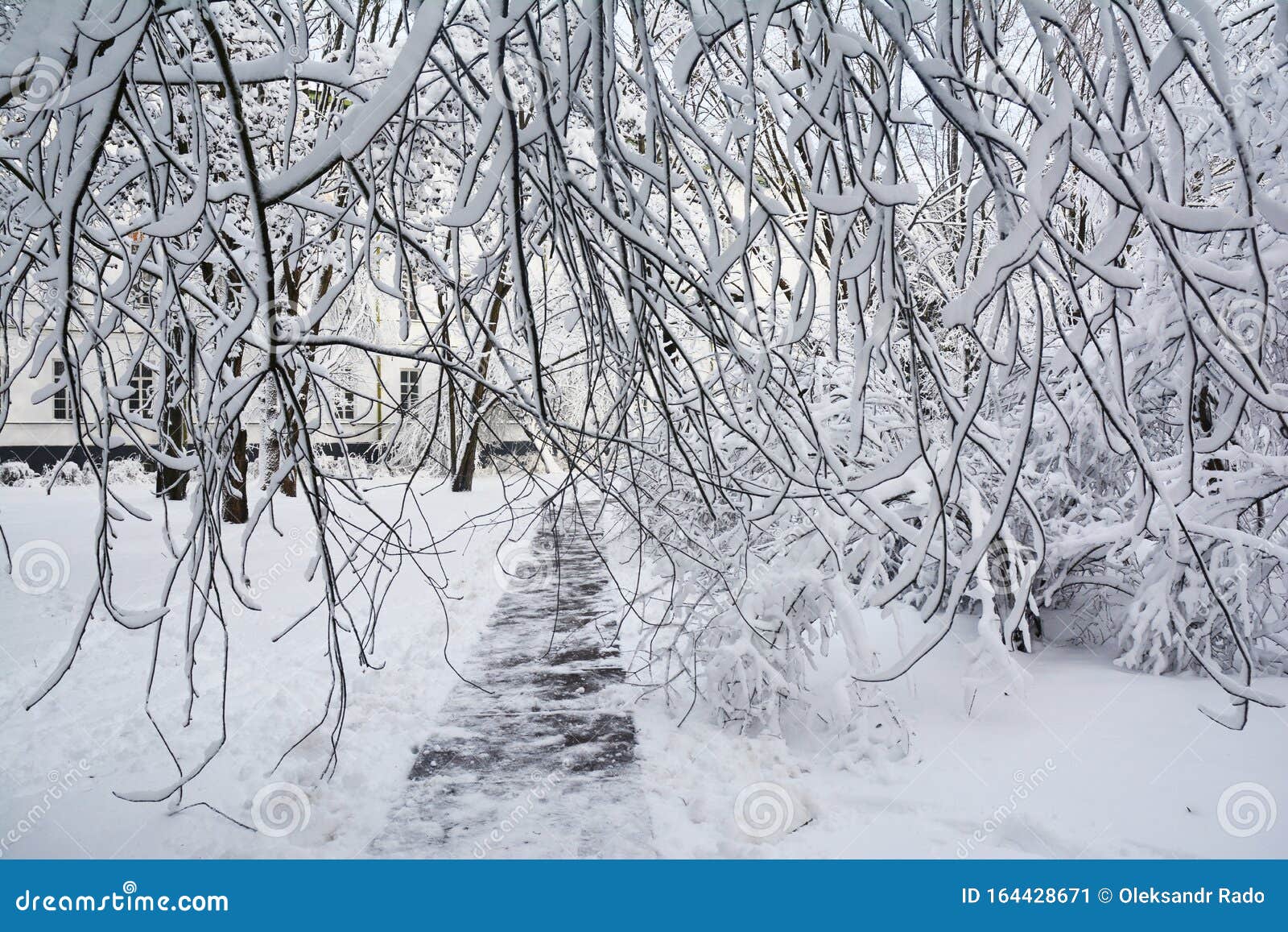 Winter Scenery. Beautiful Winter Park Path Covered Snow Stock Image ...