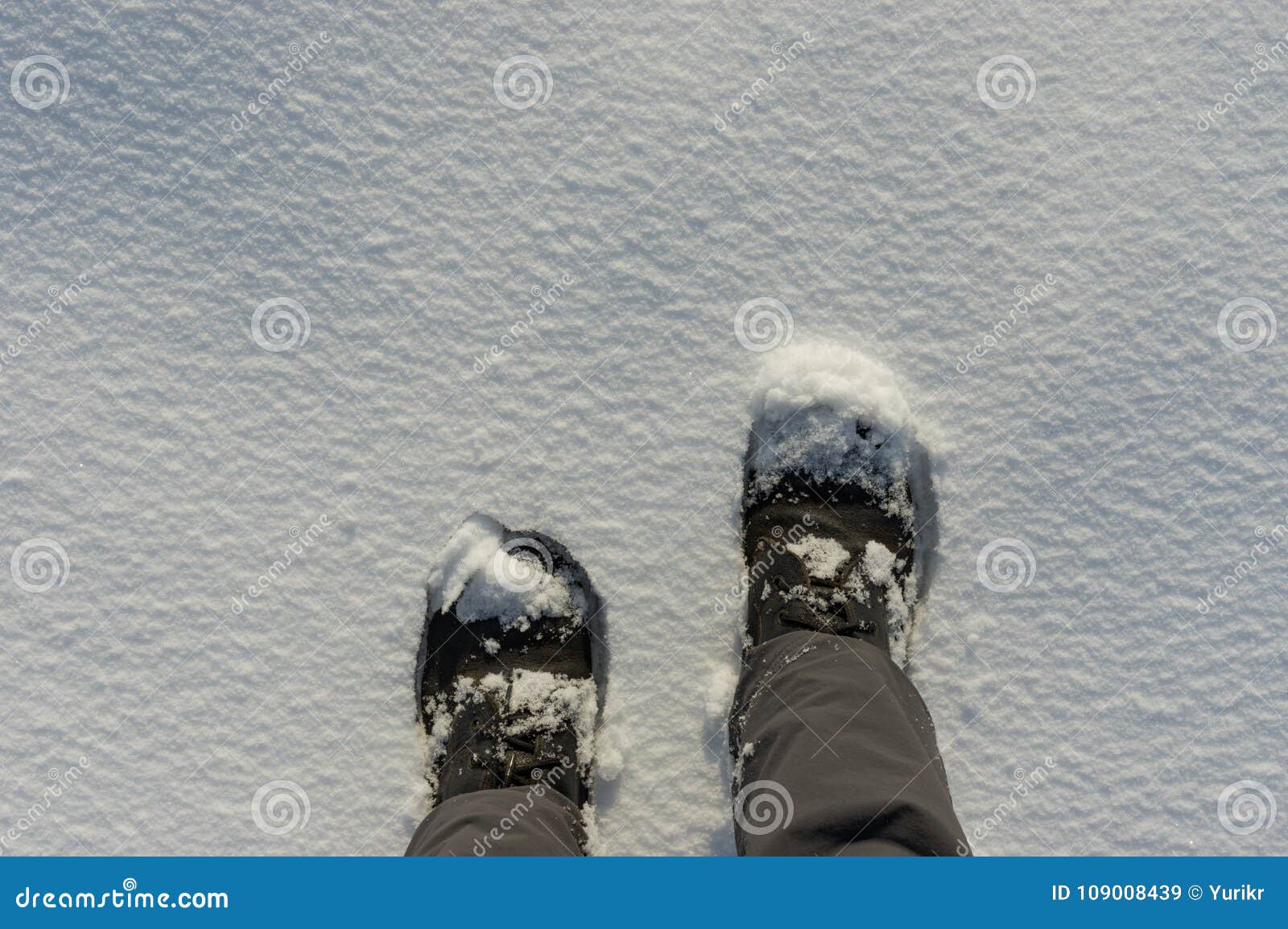Human Legs Wearing Boots and Standing on the Deep Fresh Snow Stock ...
