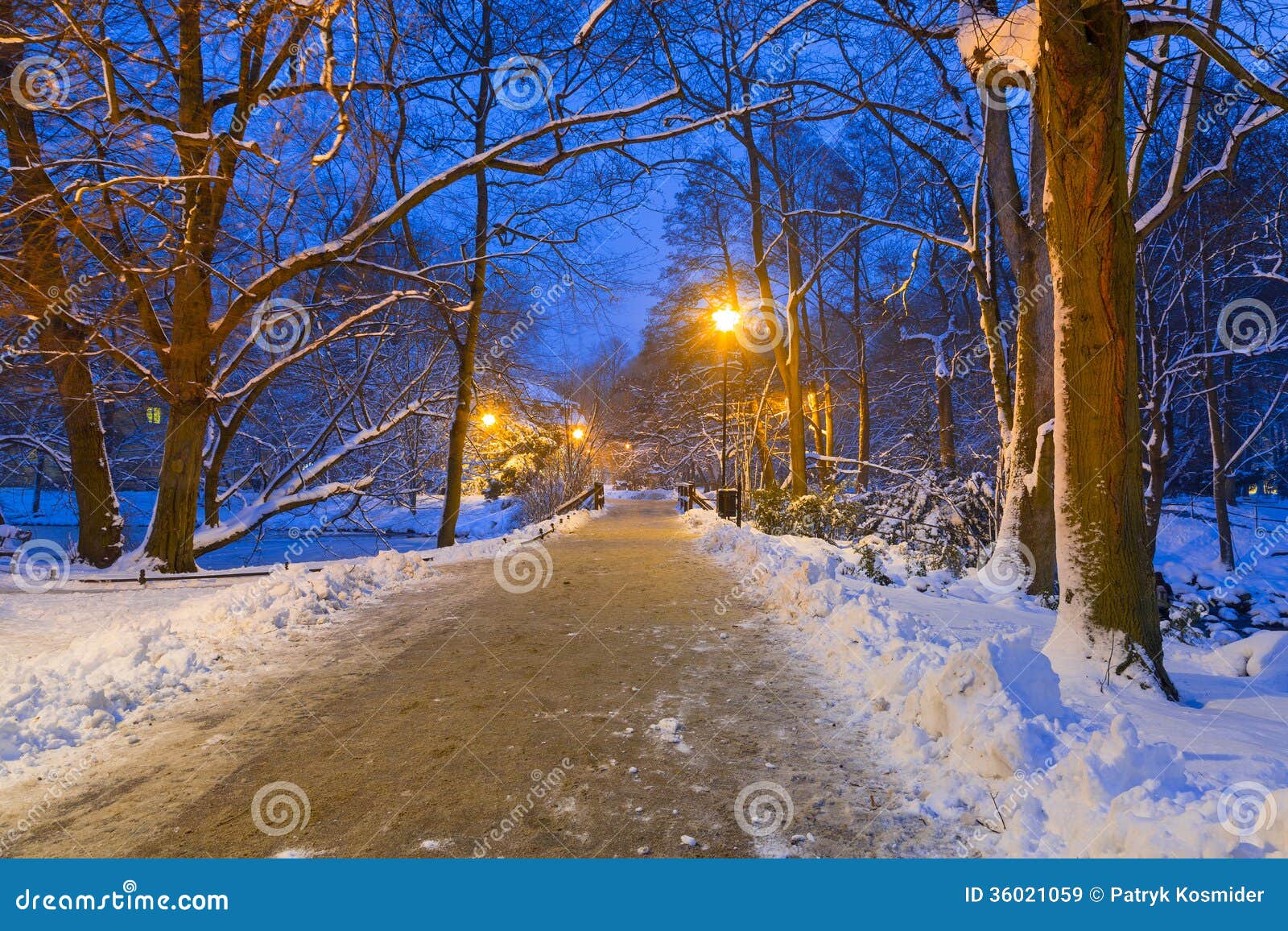 Winter Scenery of Snowy Park in Gdansk Stock Image - Image of frost ...