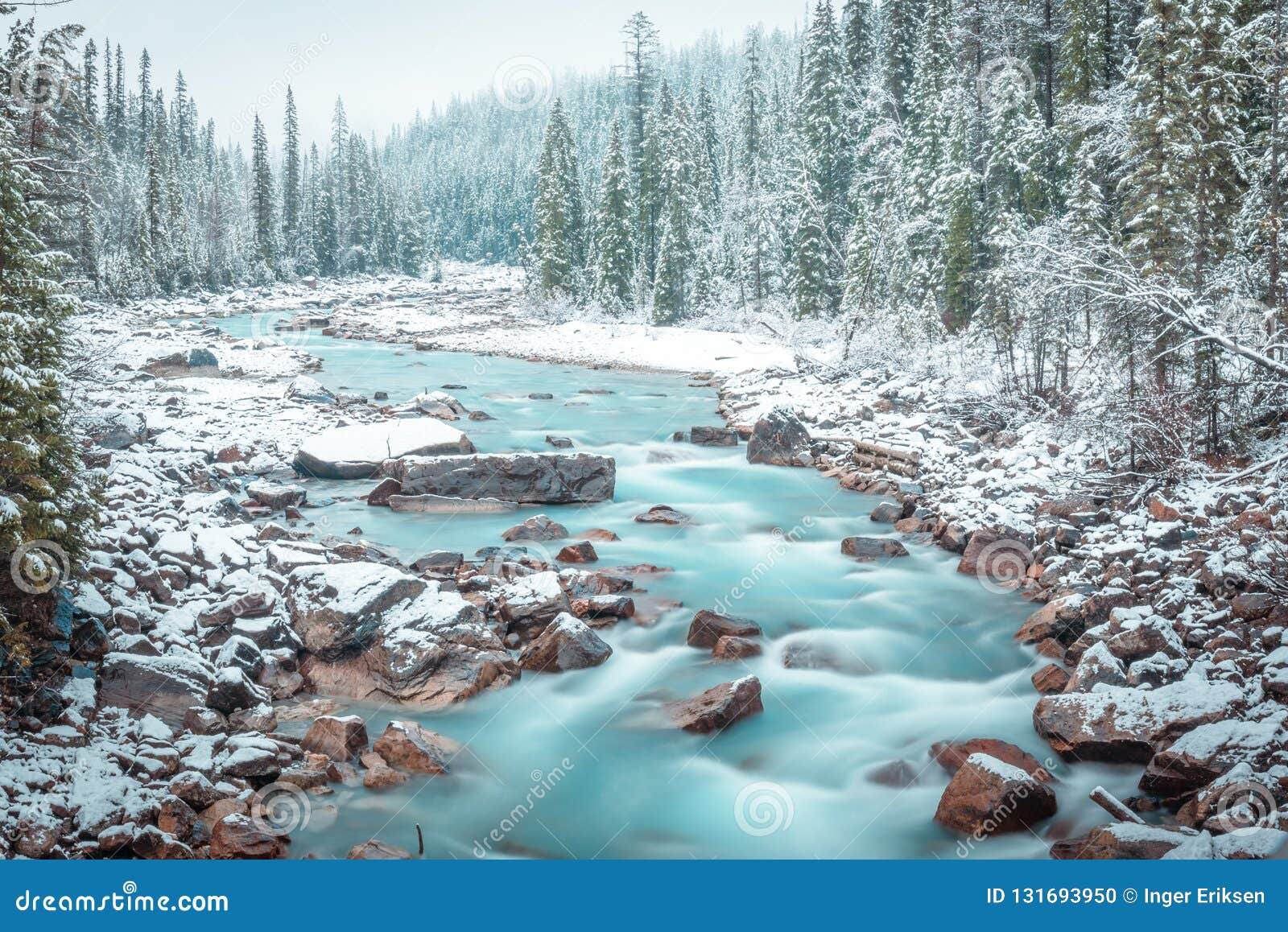 winter scenes from yoho national park, canada