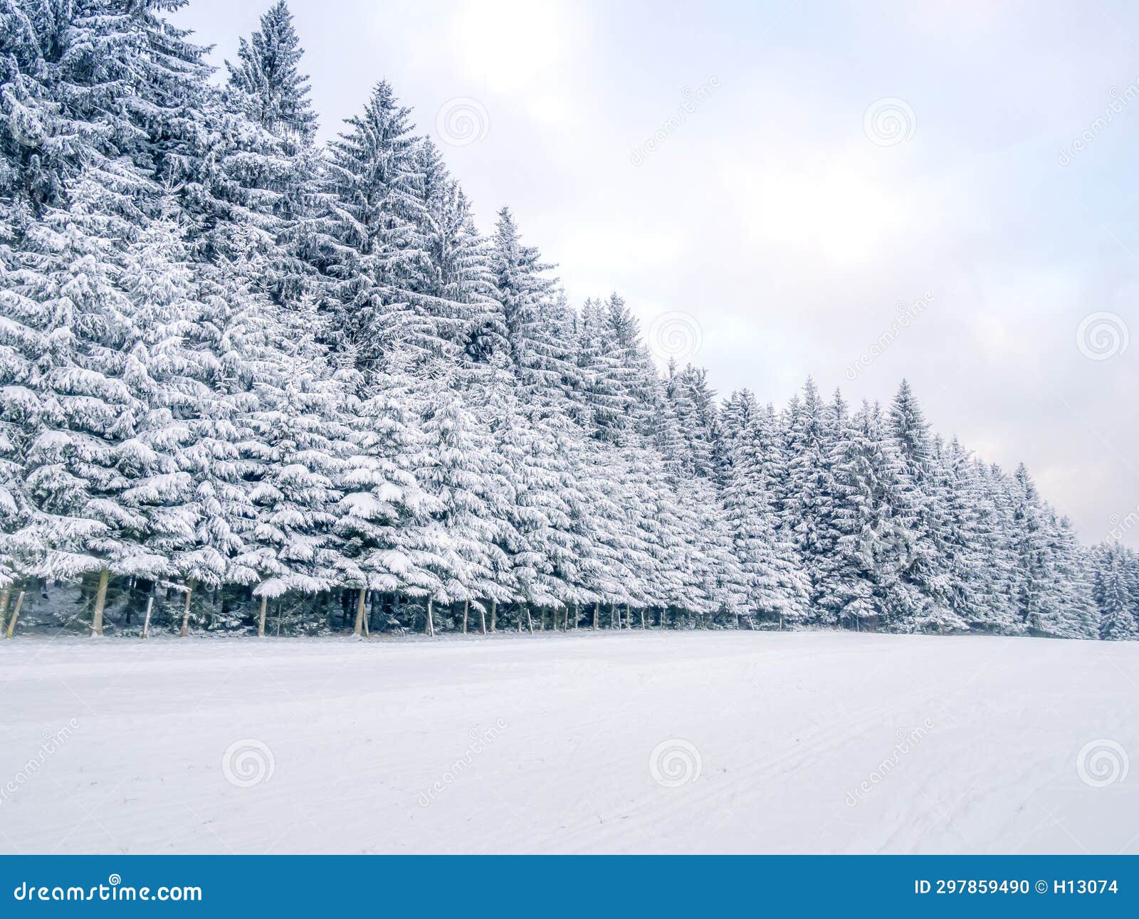 winter scenic snowy cloudy landscape