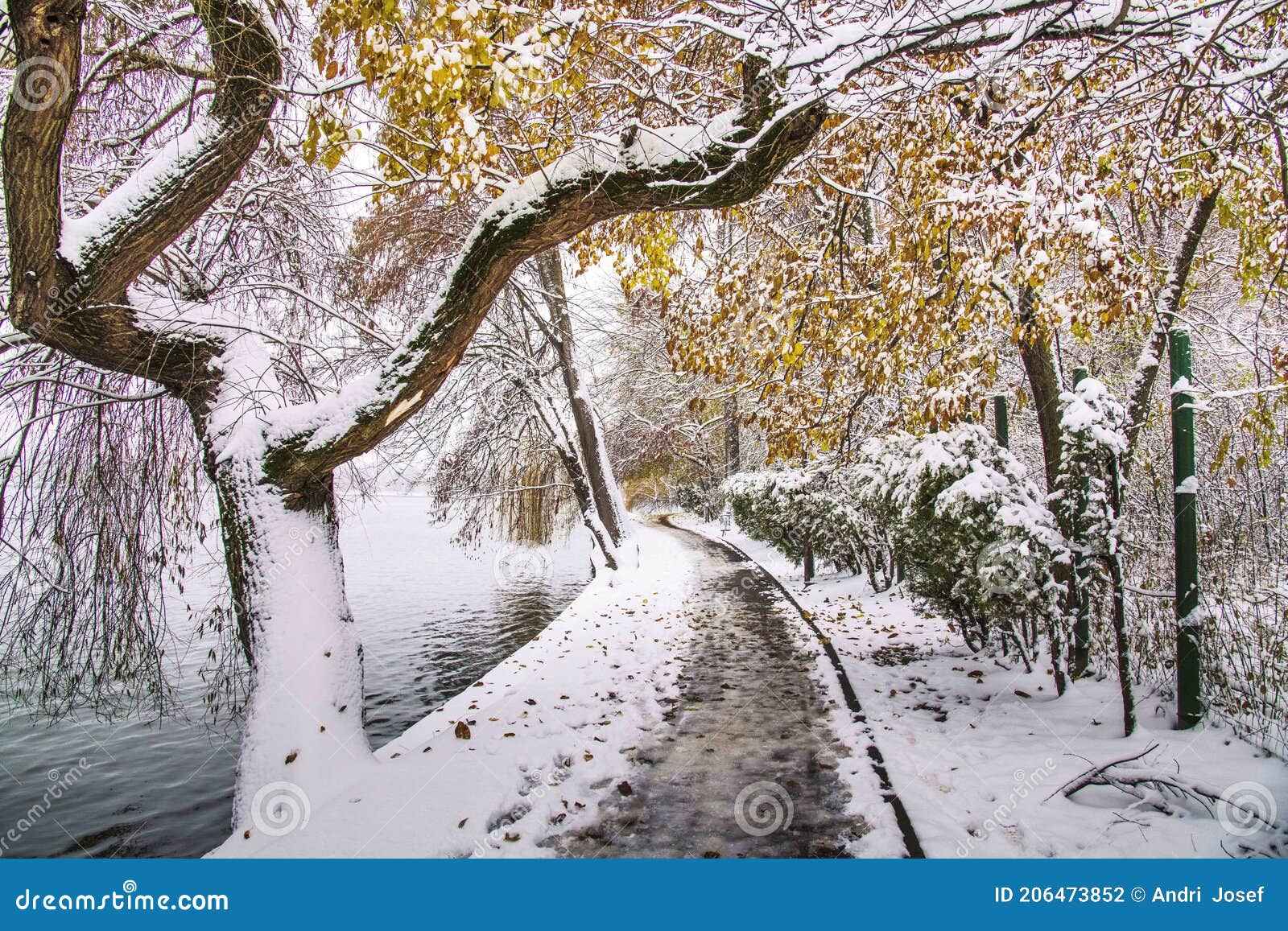 Winter Season At Herastrau Park Bucharest Romania A Maginificent Landscape Covered With Snow Stock Photo Image Of Cold Beautiful 206473852