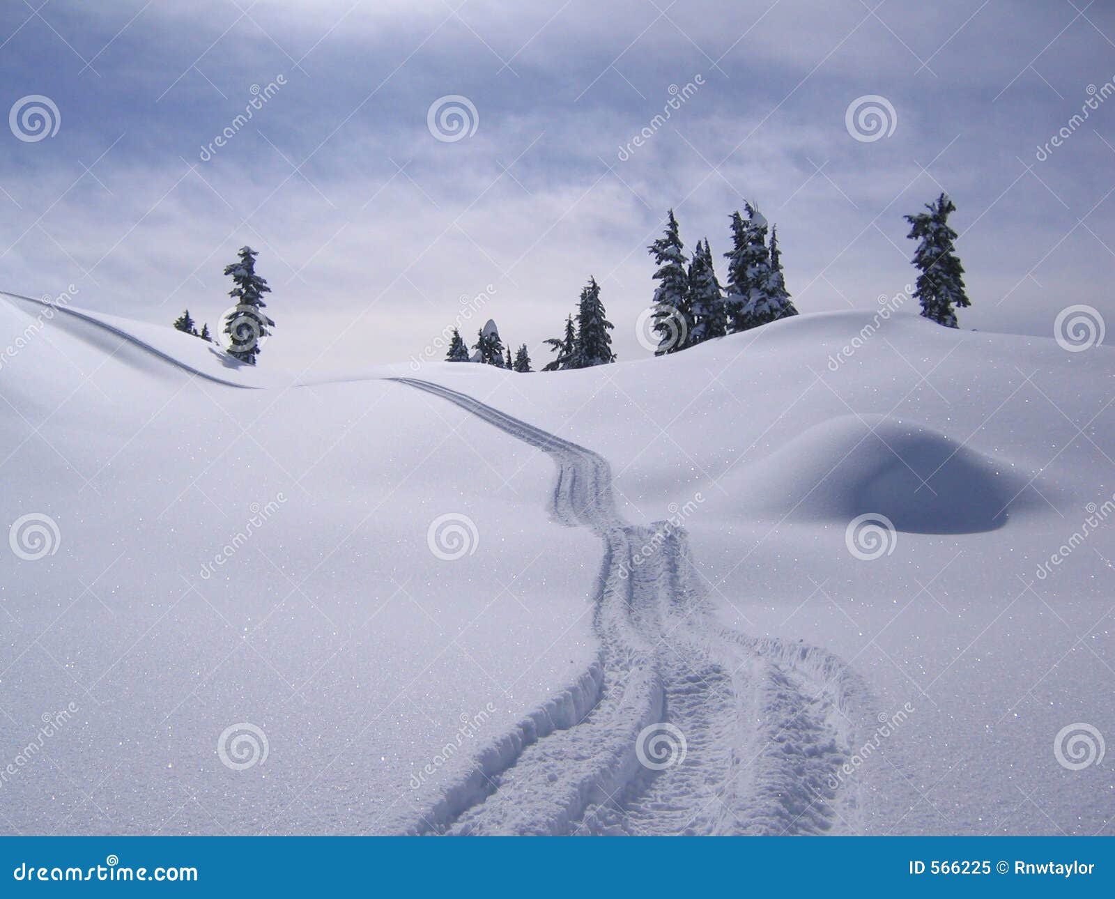 Winter Serenity stock image. Image of snow, shimmer, nature - 566225