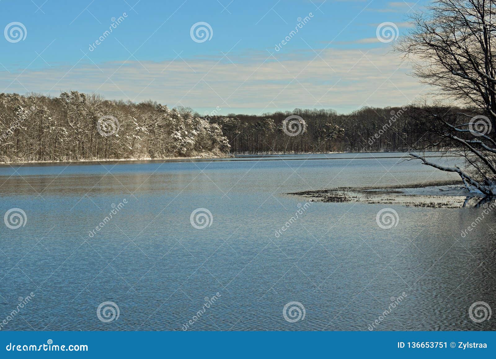 Winter Serenity at Burke Lake, Virginia Stock Image - Image of scenic