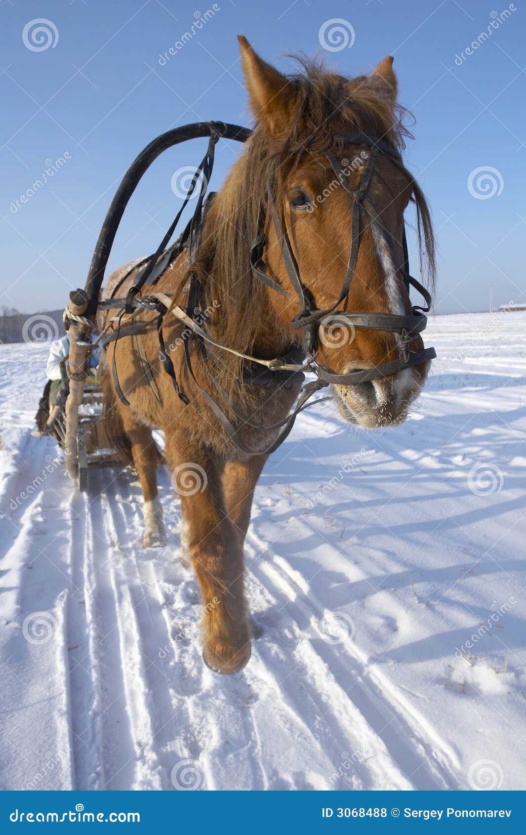 winter in siberia