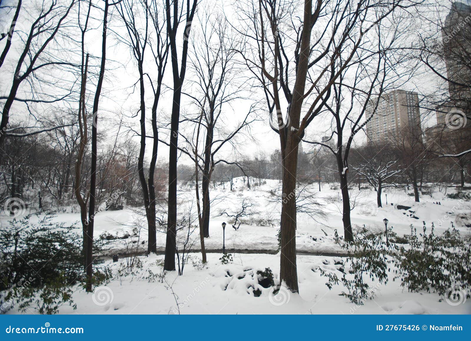 winter snow in central park, manhattan