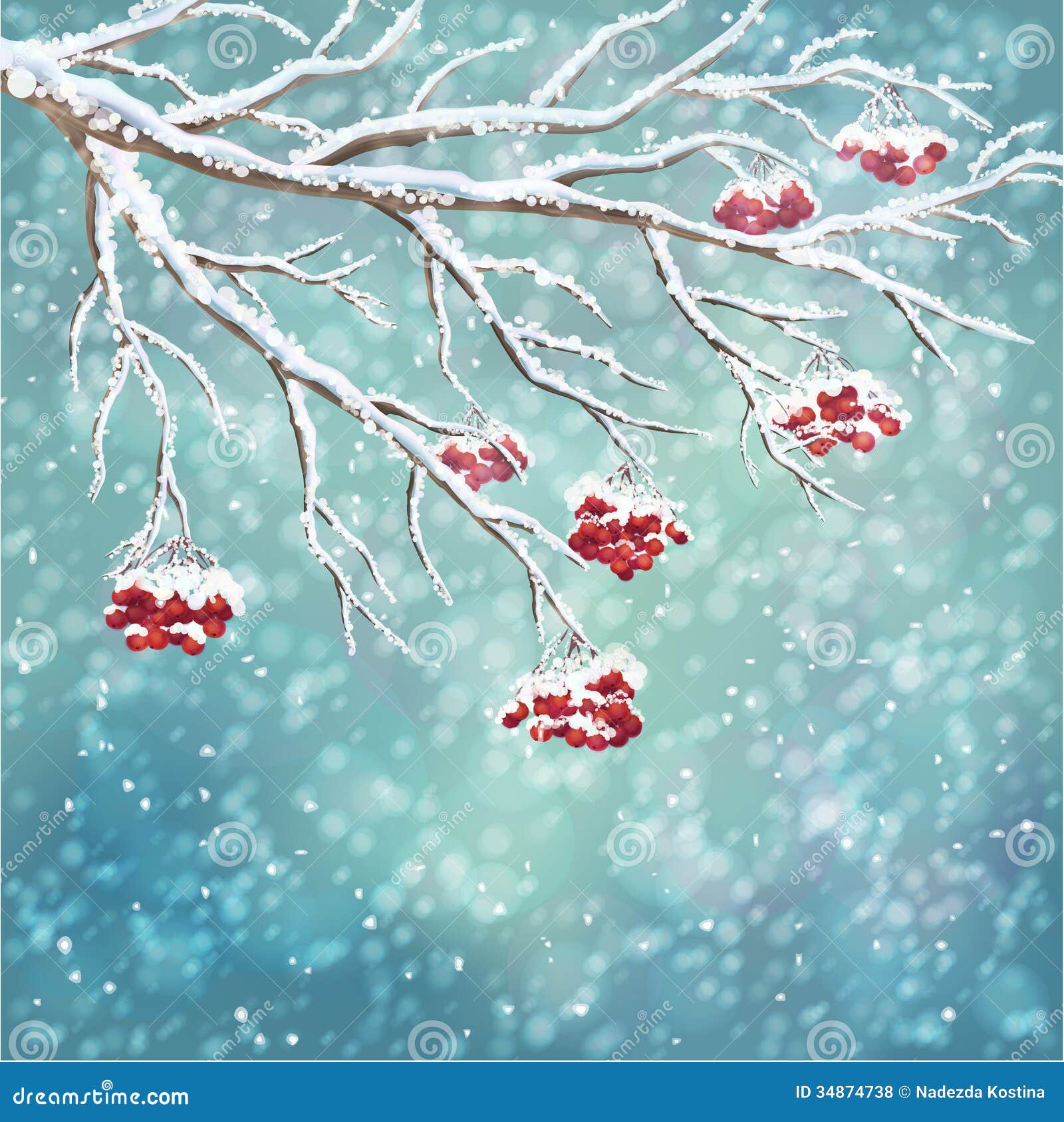 winter snow-covered rowan berry branch background