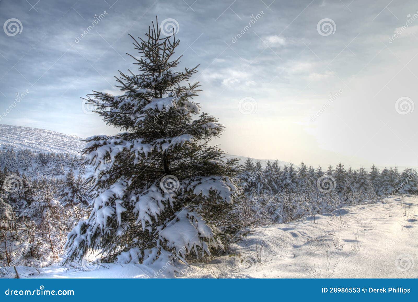 winter snow scene hdr