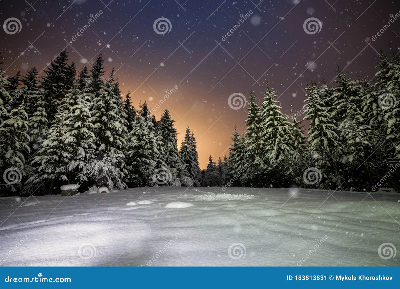 3 453 Winter Forest Night Snowflake Photos Free Royalty Free Stock Photos From Dreamstime