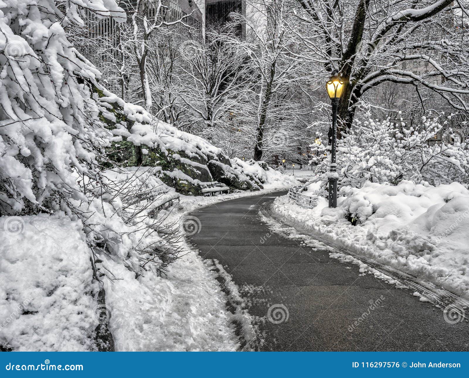 Central Park in Winter after Snow Storm Stock Photo - Image of winter ...