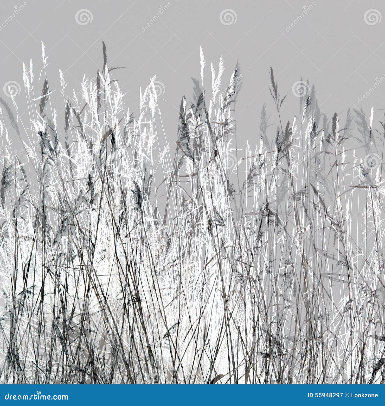 Winter Straw stock image. Image of hedge, black, decorative 55948297