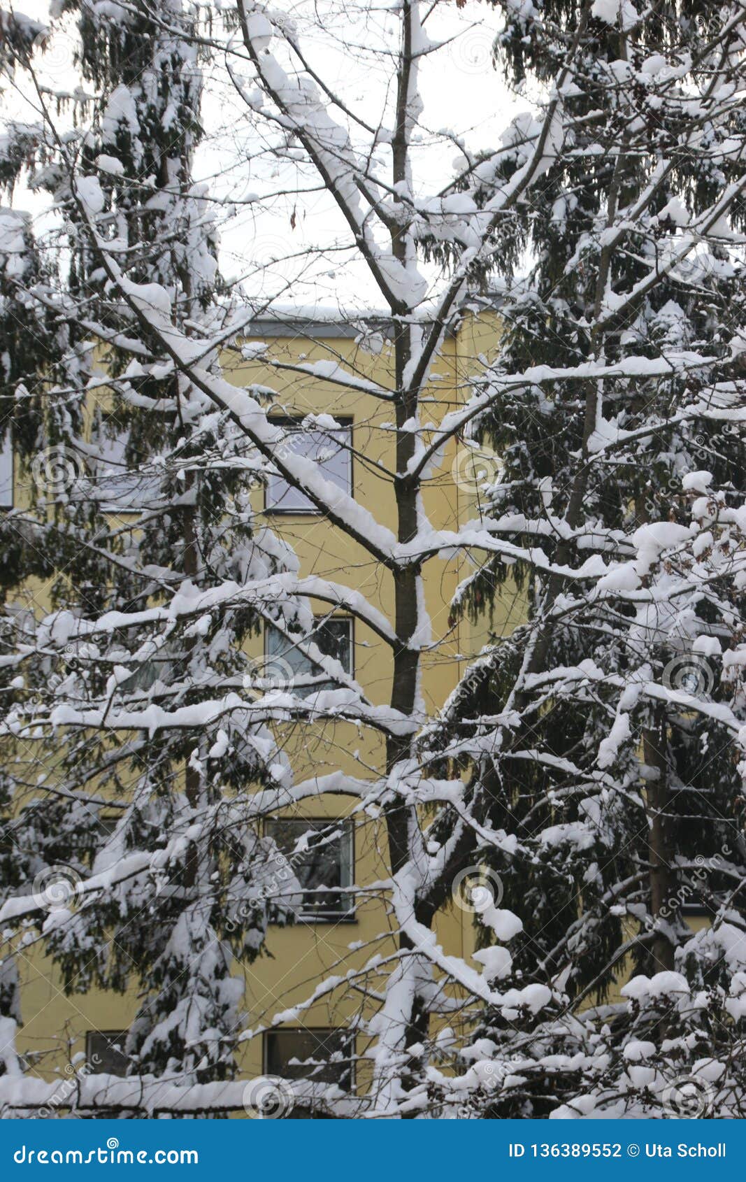 winter in the suburb. salzburg city, austria.