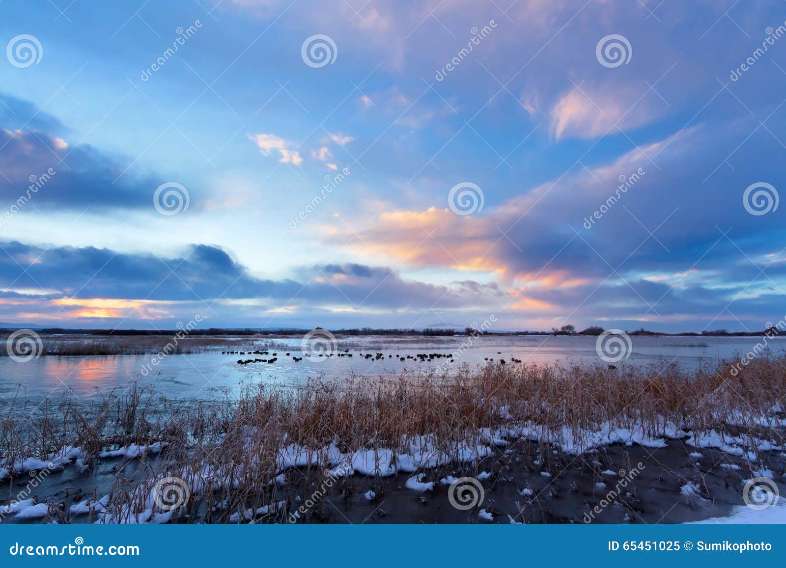 winter sunrise, bosque del apache national wildlife refuge