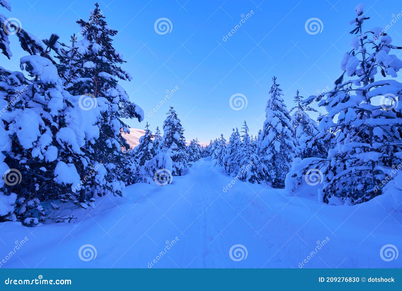 Winter Sunrise with Fresh Snow Covered Forest and Mountains Stock Photo Image of frost