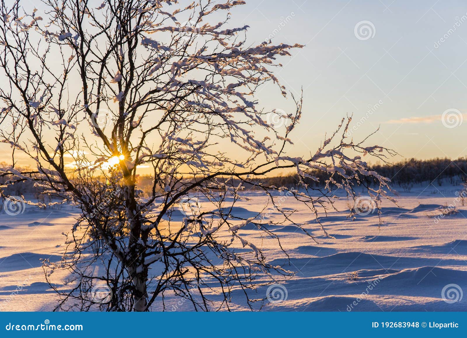 winter sunset in nuorgam, lapland, finland