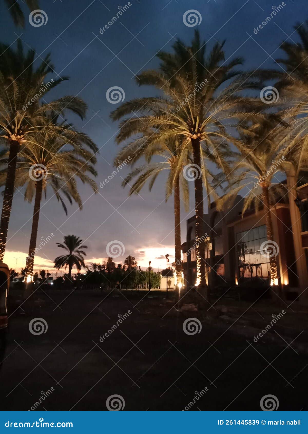 Winter sunset smell stock image. Image of smell, winter 261445839