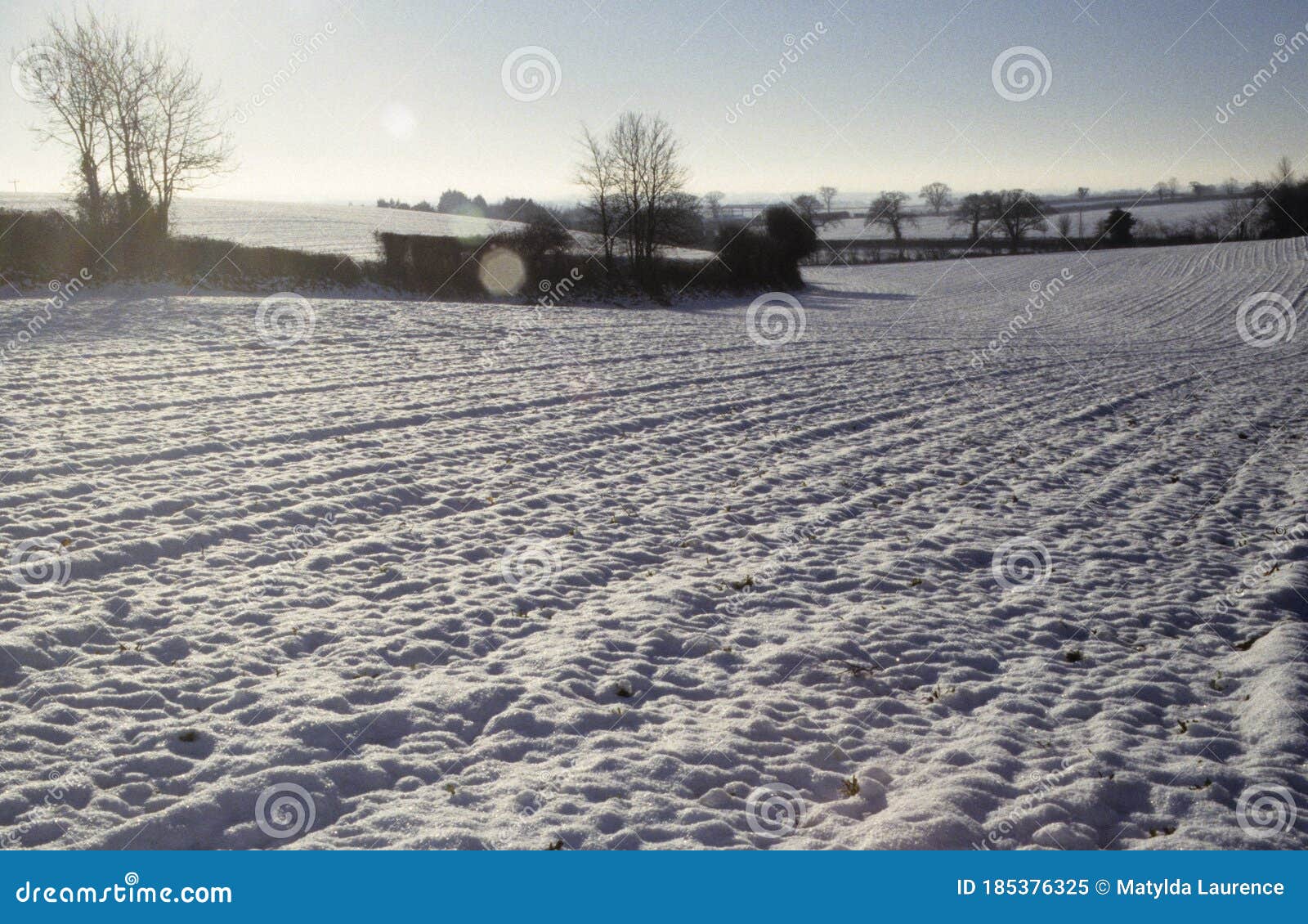 winter sunset. snow laying on arable field in norfolk uk