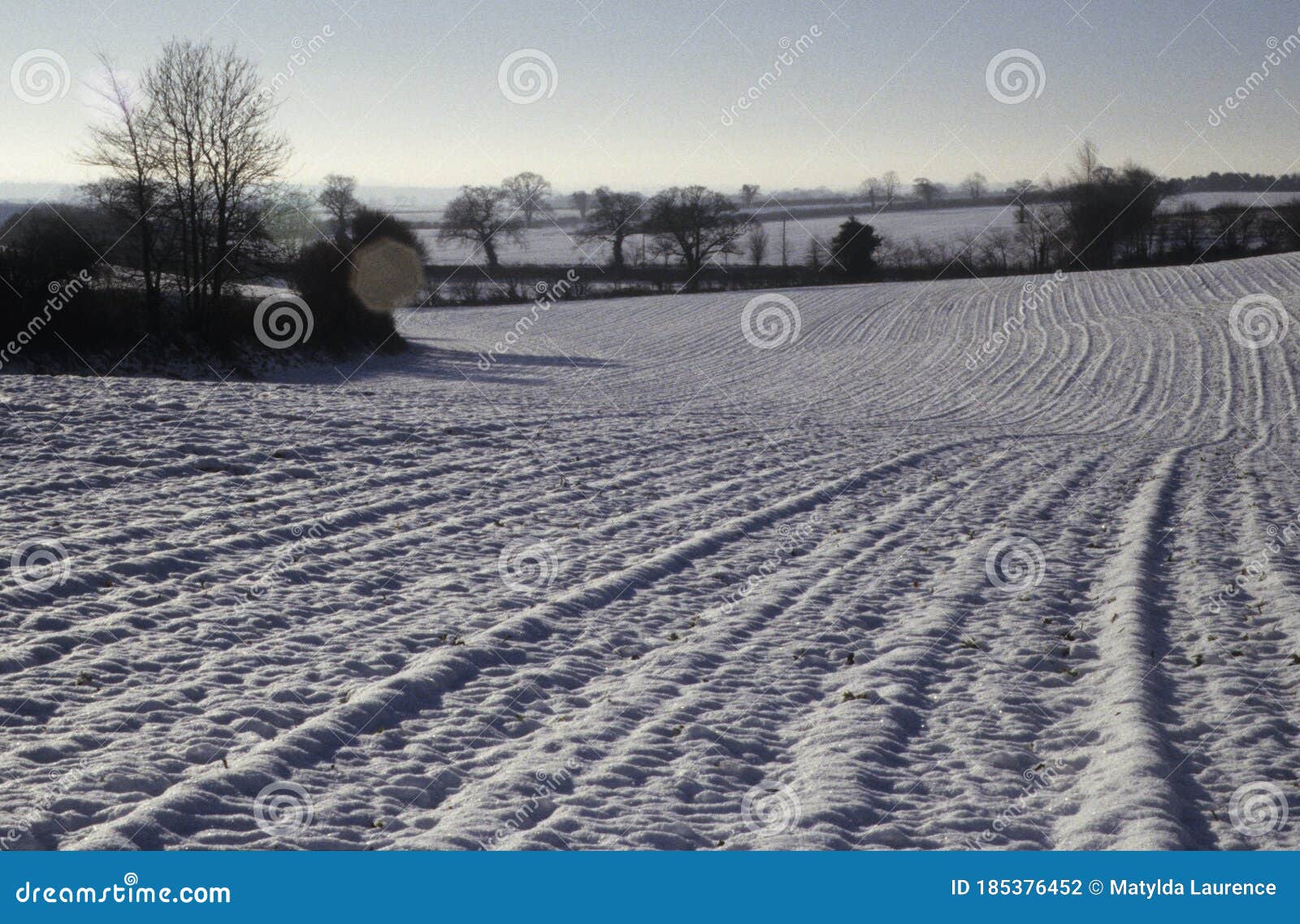 Winter Sunset Snow Laying On Earth Ridges In Arable Field Norfolk Uk Stock Photo Image Of Frozen Shadows Winter Sunset Snow Laying On Earth Ridges In Arable Field Norfolk Uk Stock Photo Image Of Frozen Shadows