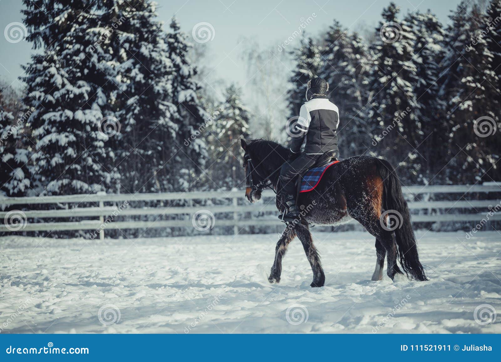 winter jump horse ride jumping