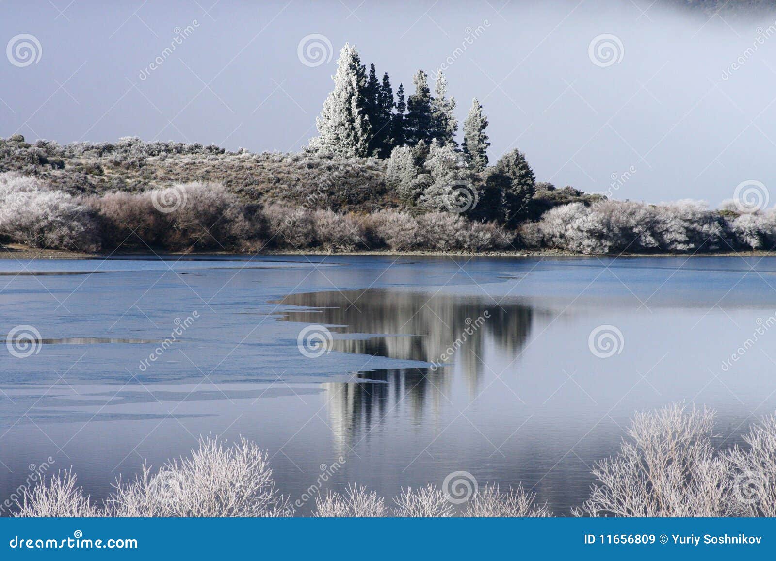 Winter time in New Zealand stock image. Image of scene 11656809