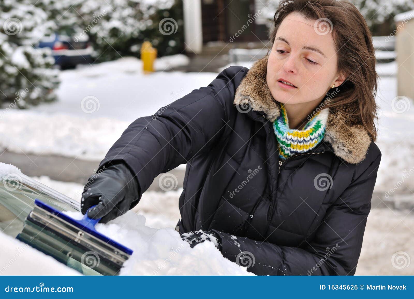 Winter Time Person Cleaning Car Stock Photo Image of frost