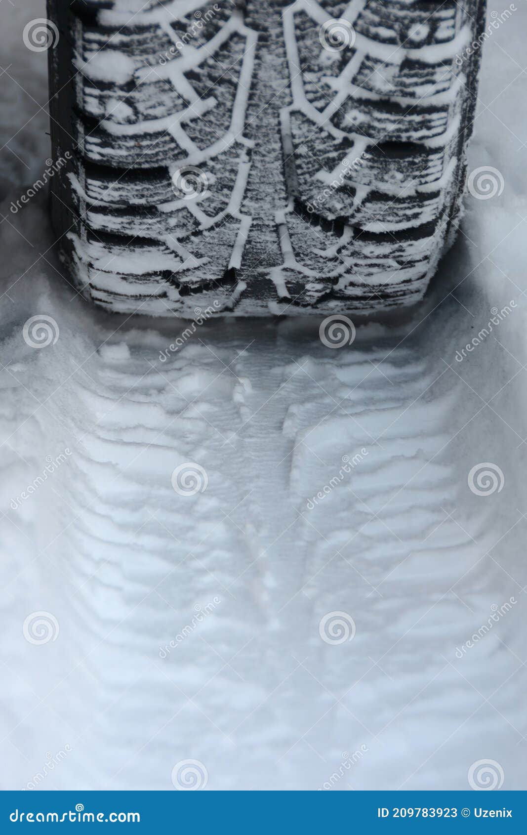 Winter Tire with Spikes and a Trail in the Snow, Closeup Stock Image