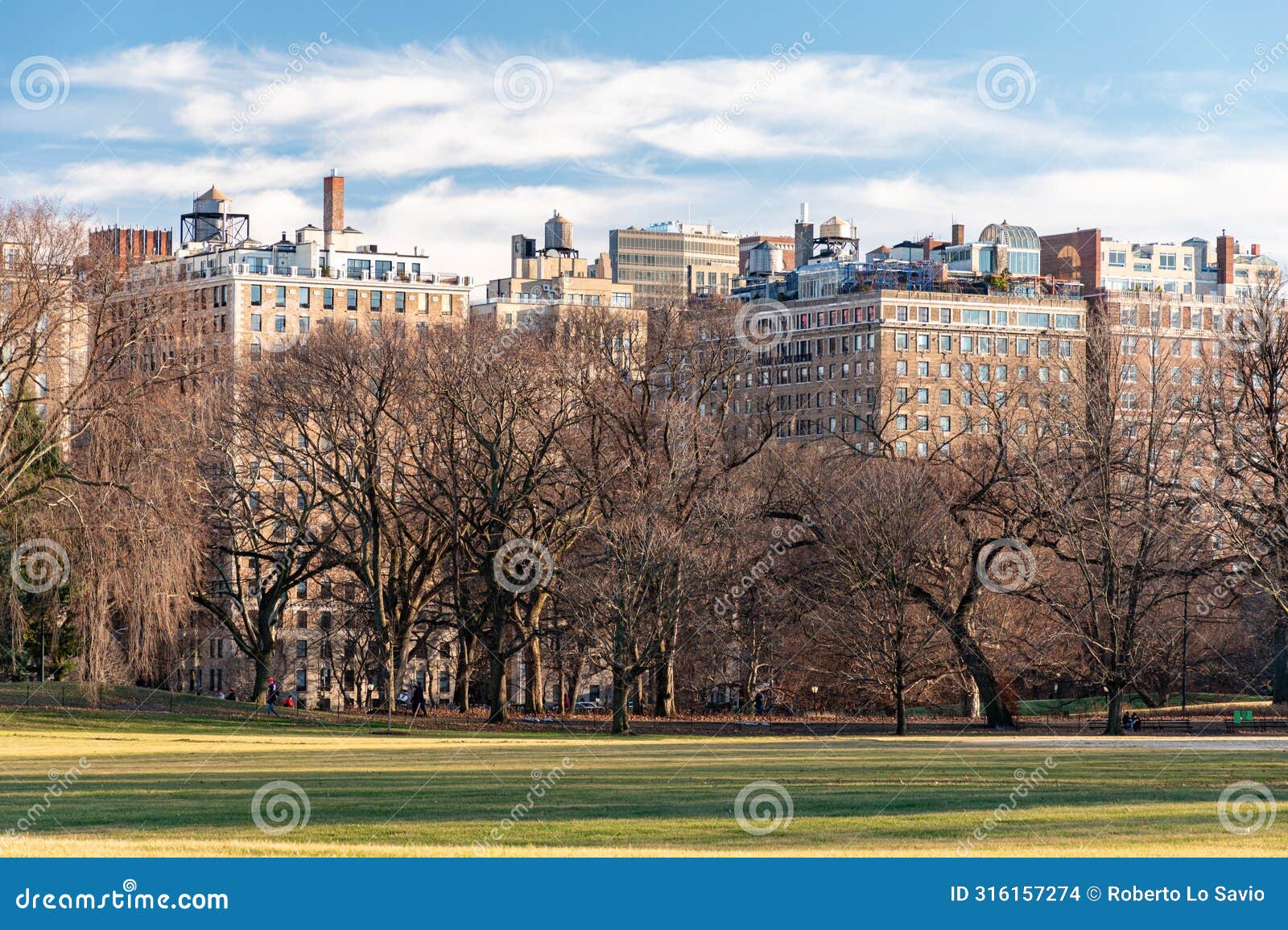 Winter View of Central Park with Buildings of East Harlem in the ...