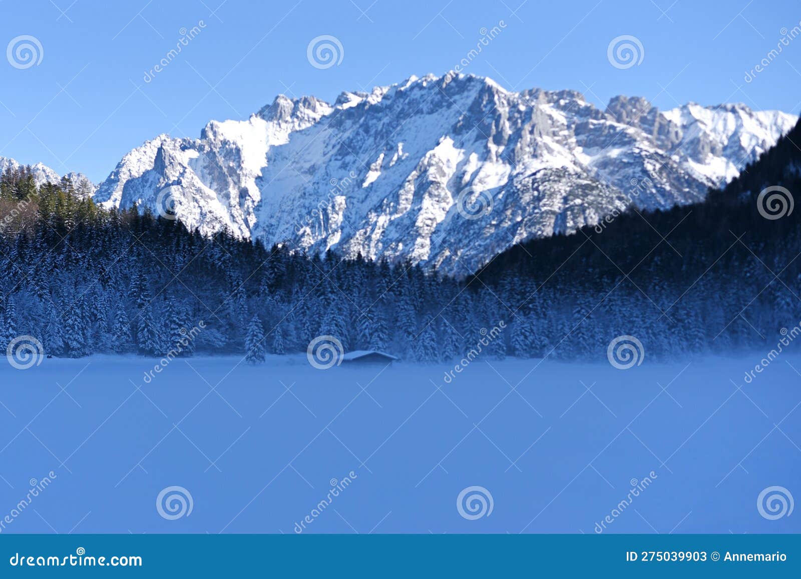 winter wonderland landscape on the lake ferchensee in bavaria, germany
