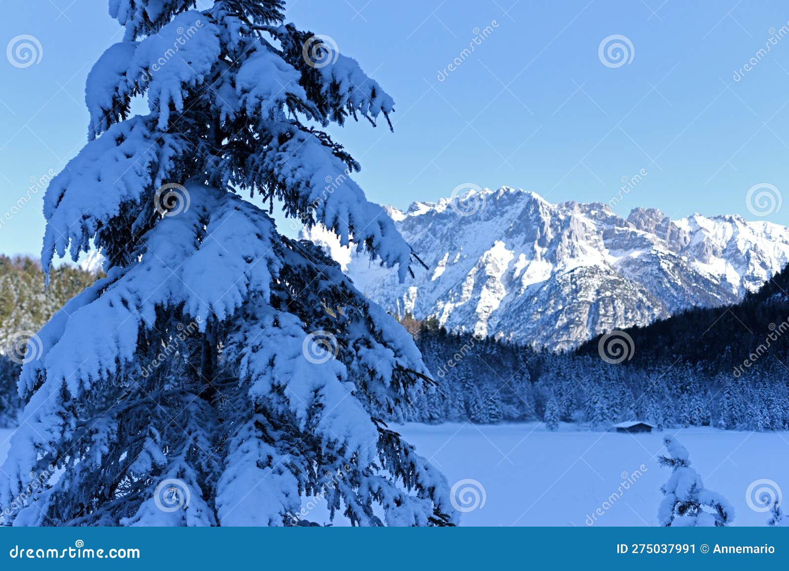 winter wonderland landscape by the lake ferchensee in bavaria, germany