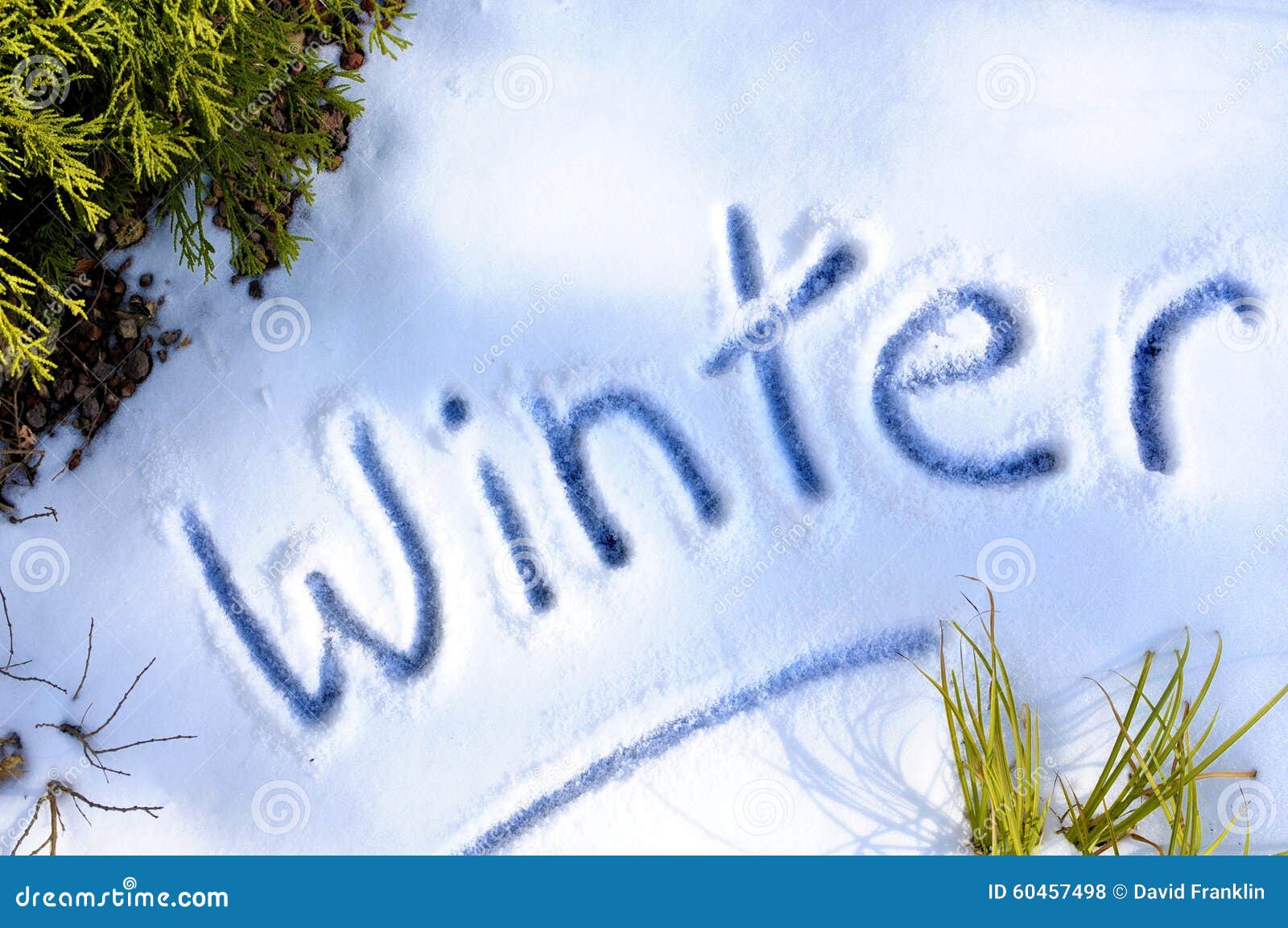 winter-written-snow-cold-weather-concept-word-fresh-60457498.jpg