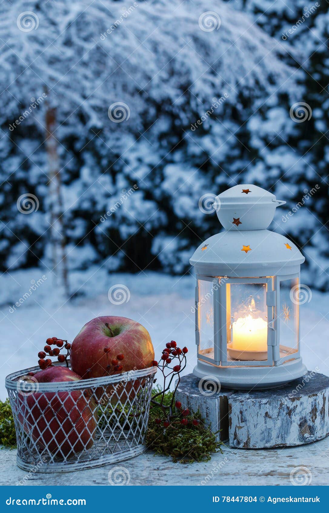 Winterabend Im Garten Eisenlaterne Und Korb Von Apfeln Stockfoto Bild Von Garten Apfeln
