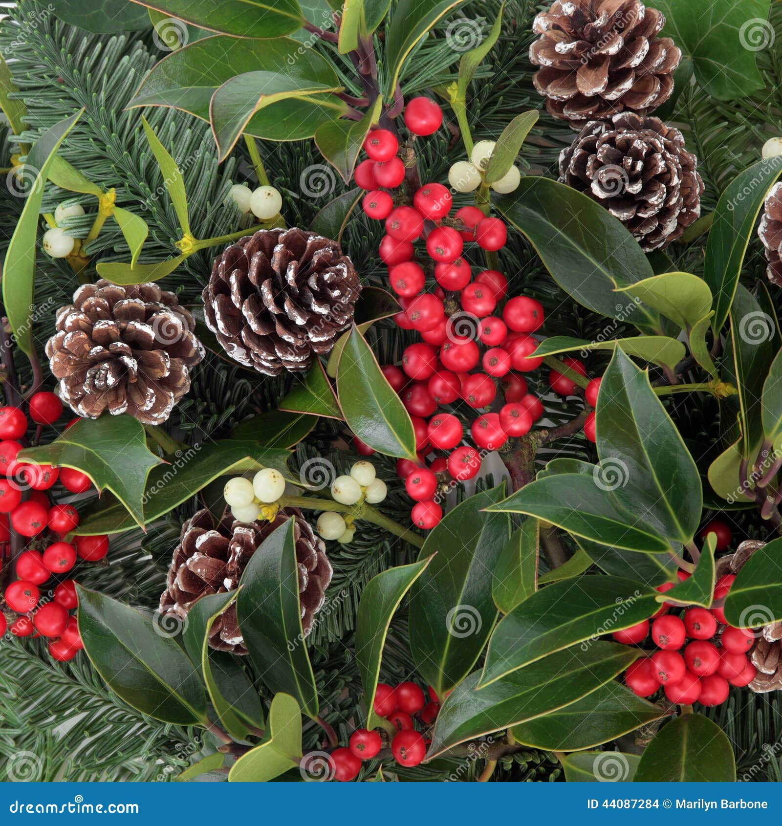 Holly Berries And Leaves With Christmas Sprigs And Pinecones Stock