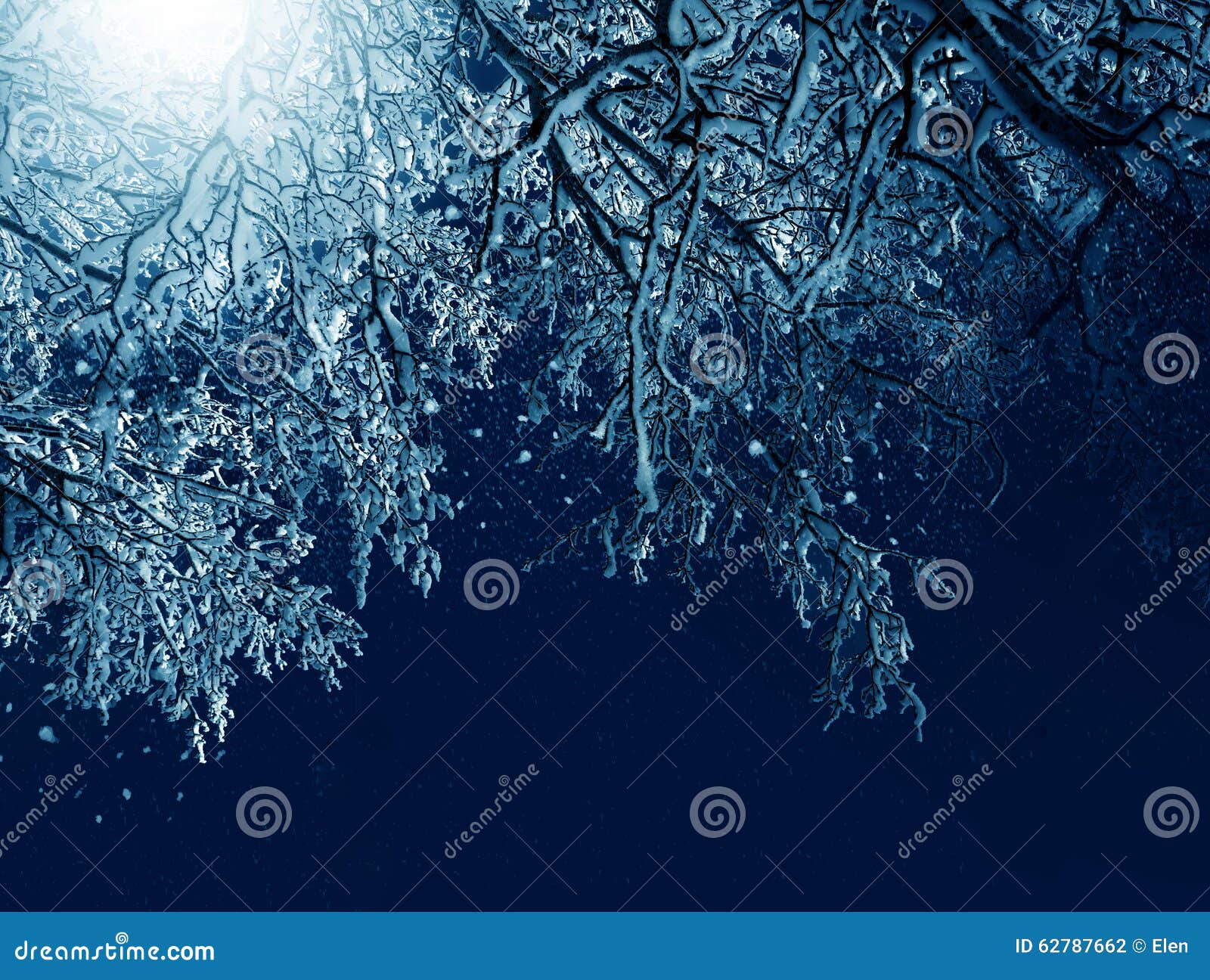 Winterlandschaft, eisige Bäume im Mondschein. Winterlandschaft, Nacht, eisige Bäume in einer Stadt parken im Mondschein