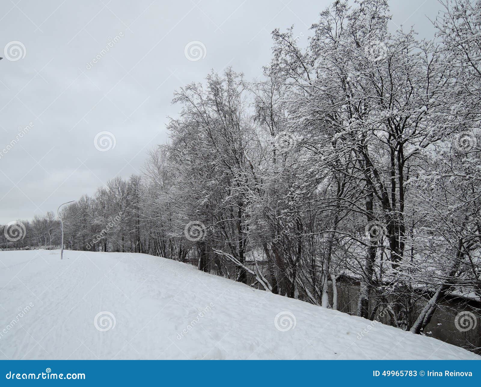 Winterlandschaft mit Fluss. Winterlandschaft nach Schneefällen, alle in Schwarzweiss