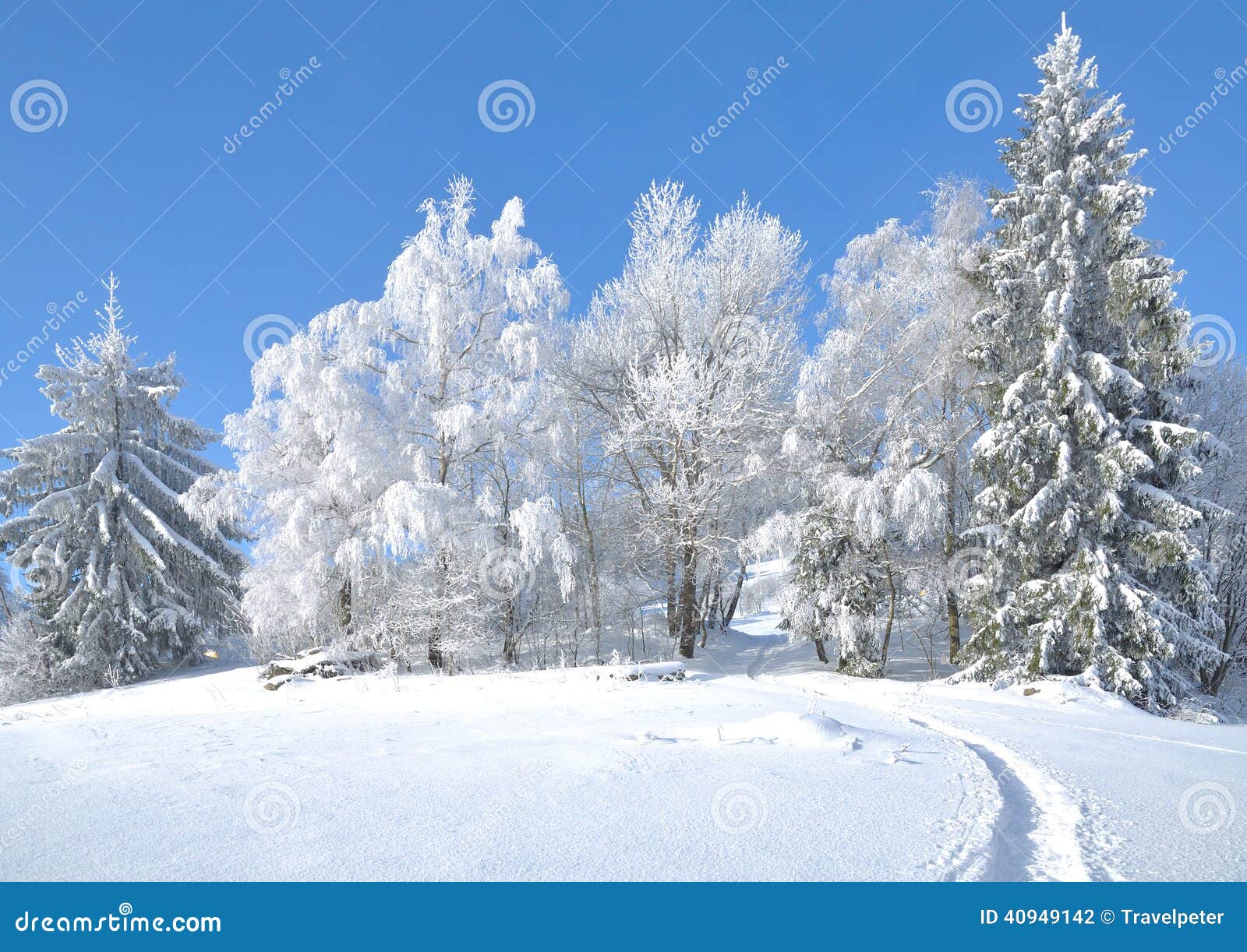 wintertime in bavarian forest,bavaria,germany