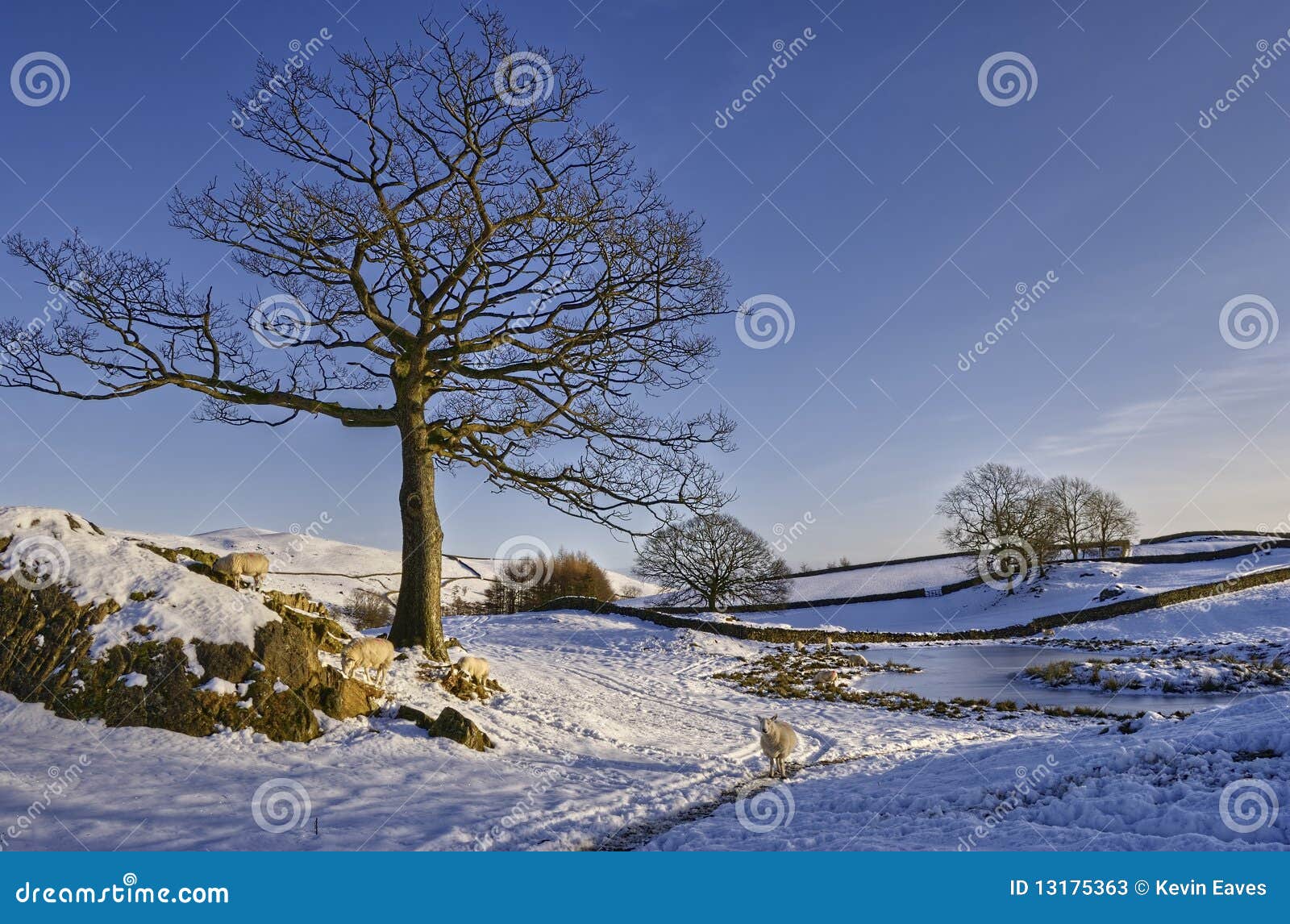 wintry landscape