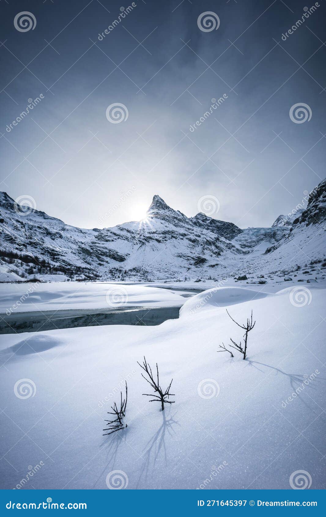 wintry landscape of the mont mine covered by snow with a sunburst and  three little trees
