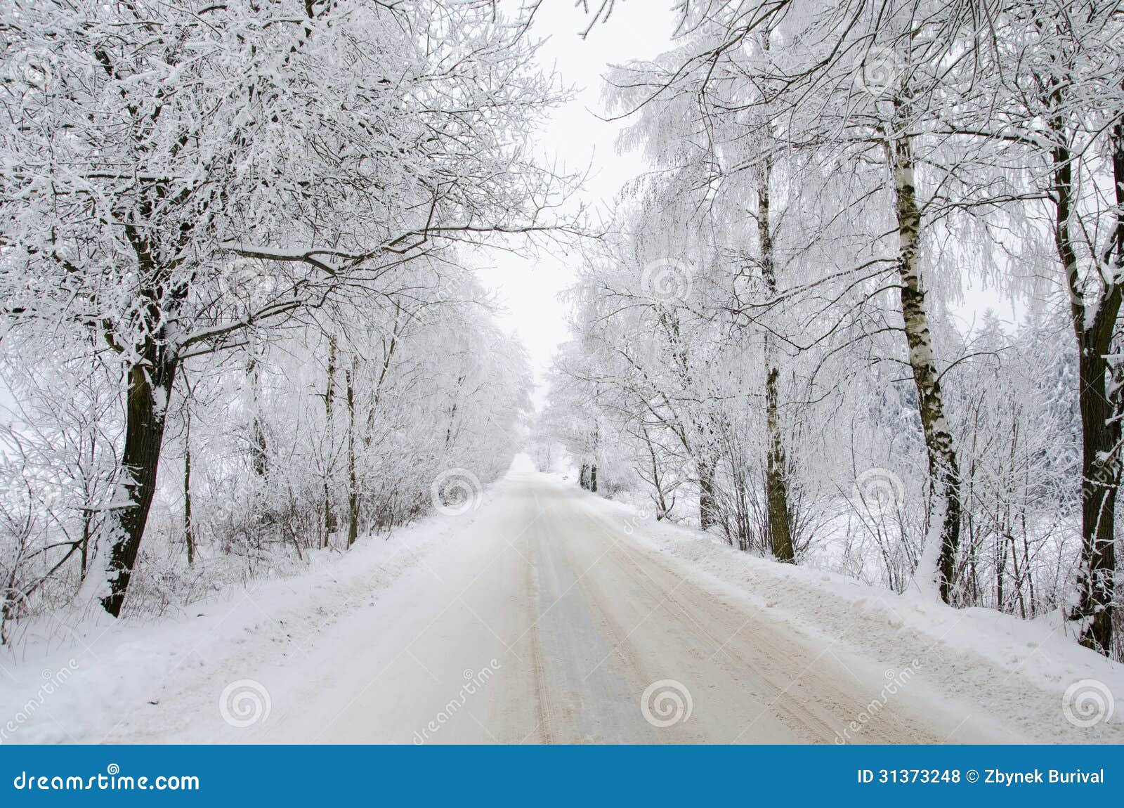 wintry road with snow