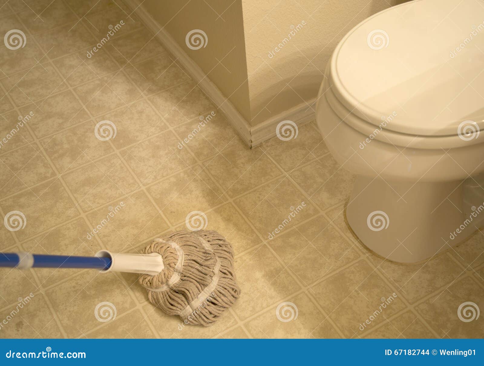 wiped the bathroom tiled floor with mop