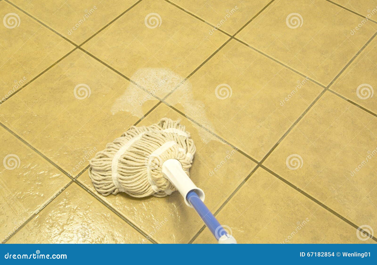 wiped tiled floor with mop